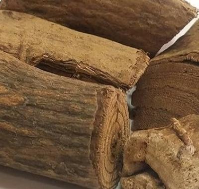 Sri Herbal Vidhara Lakdi (Bidhara Wood) - Benefits and Uses 🌿